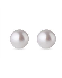 9ct White Gold 8mm Button Shape Freshwater Pearl Stud Earrings